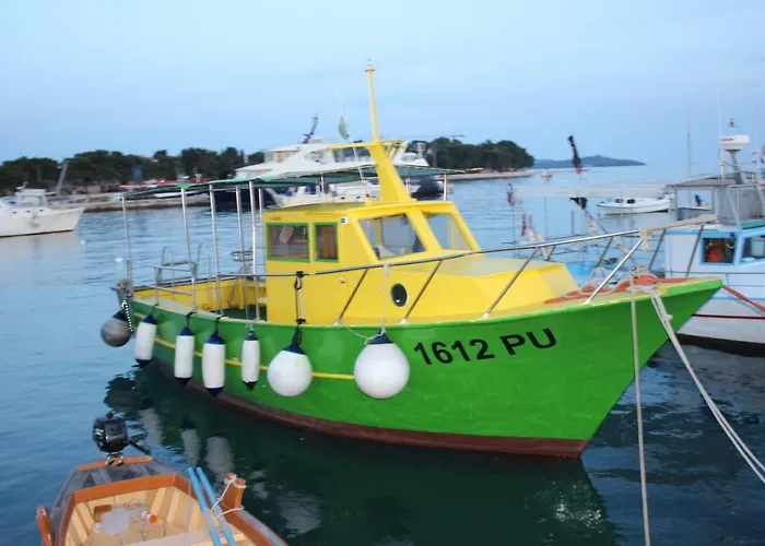 L&p Fazana